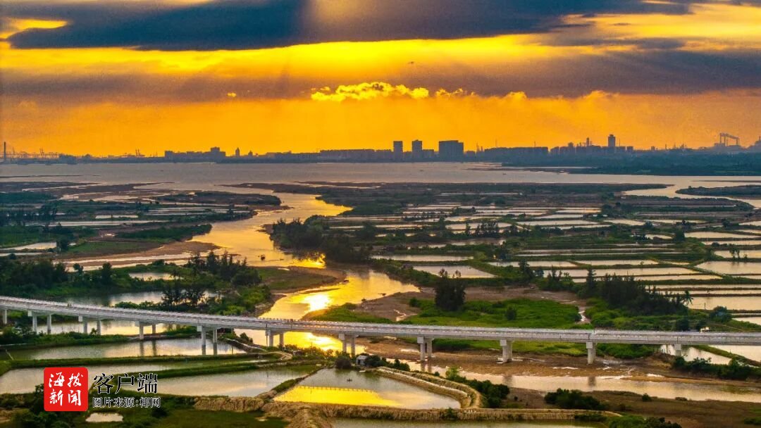 内容审核, 双人组的并, 情开跑