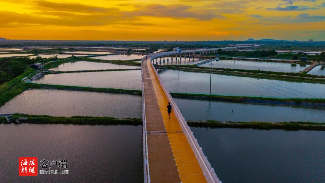 违者必追究, cn, 商报全媒体